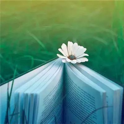 放置封神红包版下载