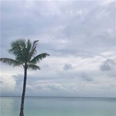 九州诀游戏下载